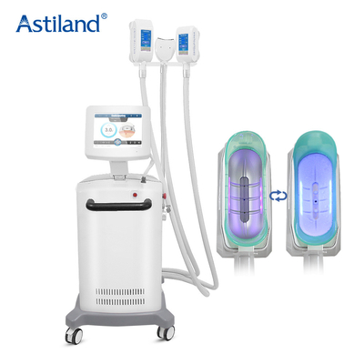 Sollievo Cryolipolysis di alta efficienza che dimagrisce macchina non dilagante