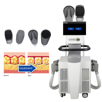 Macchina esile del corpo di SME per rimozione grassa e tecnologia di rf combinata ente esile