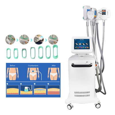 Scultura di raffreddamento Cryolipolysis che dimagrisce macchina per riduzione grassa