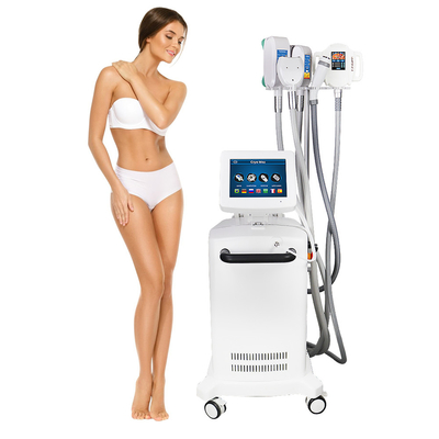 Macchina grassa di rimozione di Cryolipolysis che si raffredda scolpendo riduzione grassa non invadente