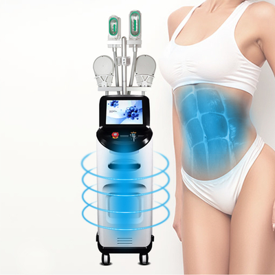 Corpo che dimagrisce tecnologia di raffreddamento grassa di Cryolipolysis della macchina che dimagrisce macchina