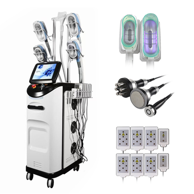 Professiona Cryo 360 e Ems 2 in 1 Fat Loss Cryolipolysis Slimming Machine