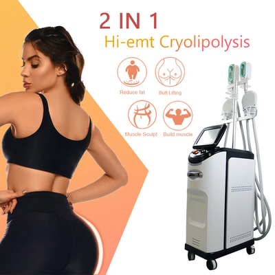Rimozione di congelamento grassa delle celluliti di Cryo della macchina 360 di Cryolipolyse SME