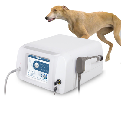 Dispositivo veterinario per il sollievo dal dolore pneumatico con onde d'urto