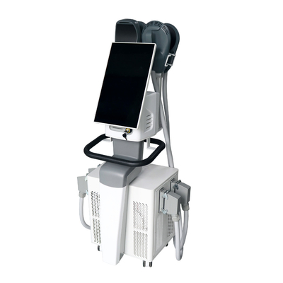 Professionale Ems Muscle Stimulator Ems Body Slimming Machine con Rf 14 Tesla Ems Sculpting Machine