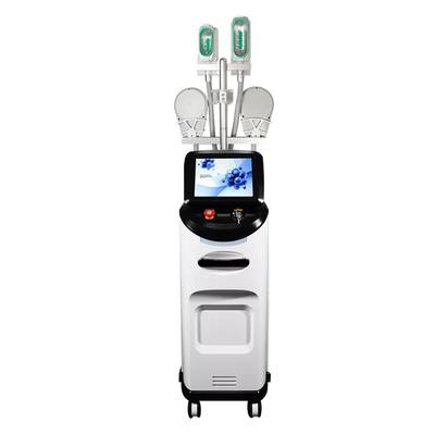 Macchina avanzata di cryolipolisi per la perdita di peso e rimodellamento del corpo con potenza di 4500W