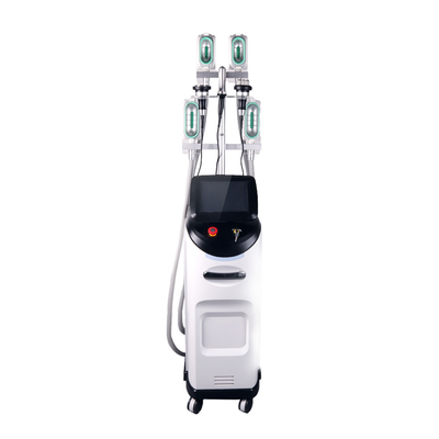 10.4 Inch Color Touch Screen Cryolipolysis Slimming Machine per un trattamento confortevole e conveniente