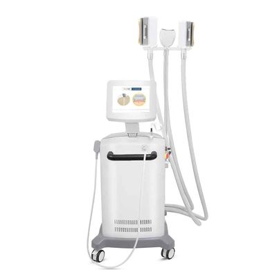 4 maniglie Cryolipolysis che dimagrisce macchina