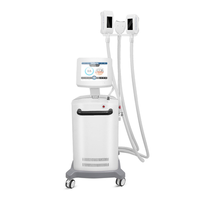 Macchina di congelamento grassa di cavitazione di vuoto di Cryolipolysis di 3 maniglie
