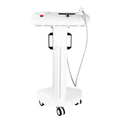 Macchina a microaghi RF per la riduzione della cellulite e la rimozione della pigmentazione