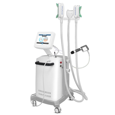 CE 6 barre di Cryolipolysis che dimagrisce macchina per il corpo