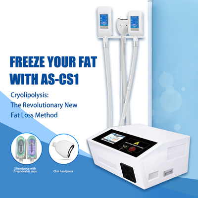 Congelatore grasso di Cryo della macchina portatile di Cryolipolysis Lipo per doppio Chin Fat Removal