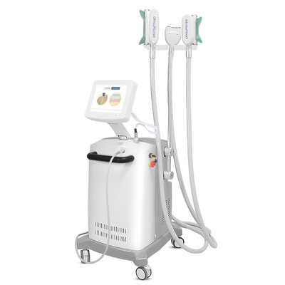 Pancia alto Cryolipolysis efficiente bruciante che dimagrisce macchina