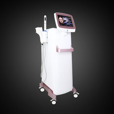 Corpo di lifting facciale di AC110V che dimagrisce la macchina di 5D HIFU