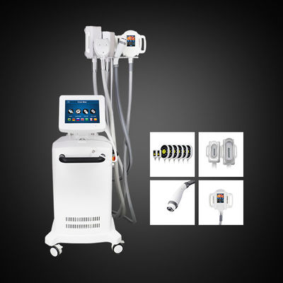 5 maniglie Cryolipolysis che dimagrisce la macchina grassa di riduzione della pancia della macchina