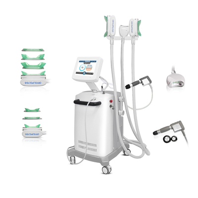 3 Handpiece criogenico Cryolipolysis che dimagrisce macchina con il sistema di raffreddamento eccellente