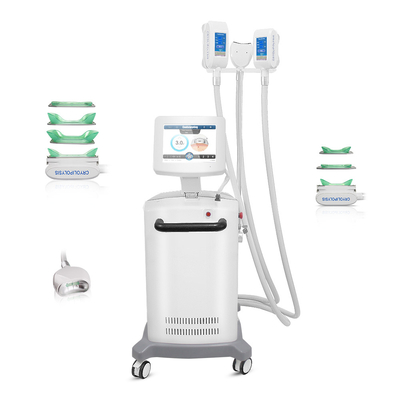 Macchina di Cryolipolysis per 360° di congelamento grasso grande area di raffreddamento diretto