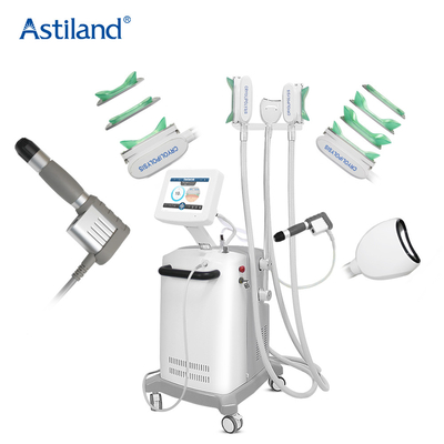 Cryolipolysis che dimagrisce Shockwave 2 nei rifornimenti di 1 della macchina stazione termale di estetica