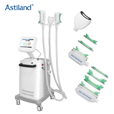 Controfigura grassa indolore Chin Removal della macchina di congelamento di Cryolipolysis di 3 maniglie